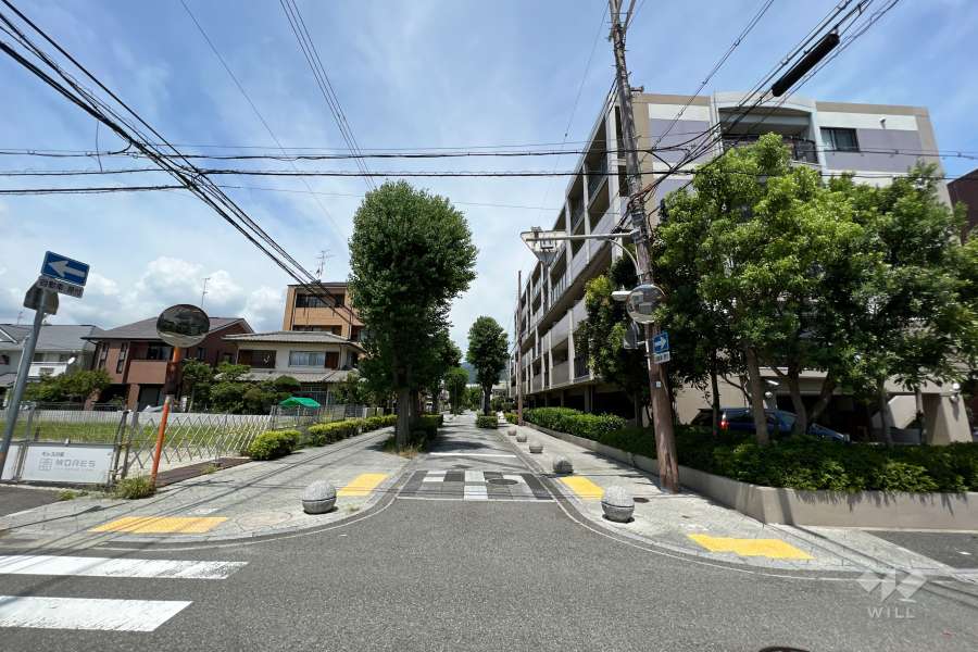 敷地南西側の前面道路(南側から)