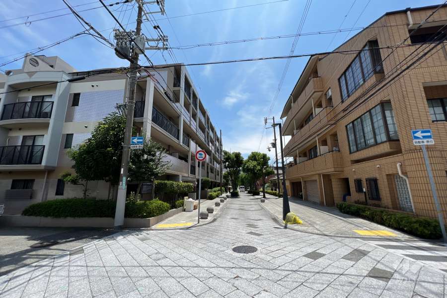 敷地南西側の前面道路(北側から)