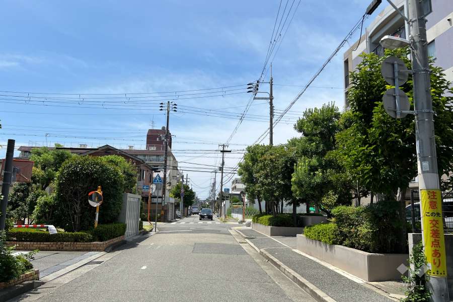 敷地南東側の前面道路(東側から)