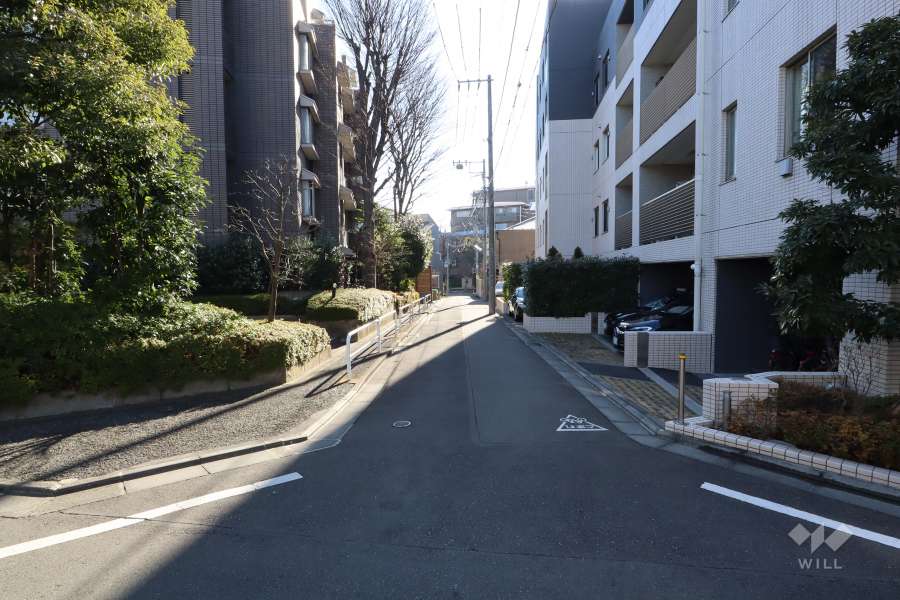 敷地東側の前面道路(北側から)