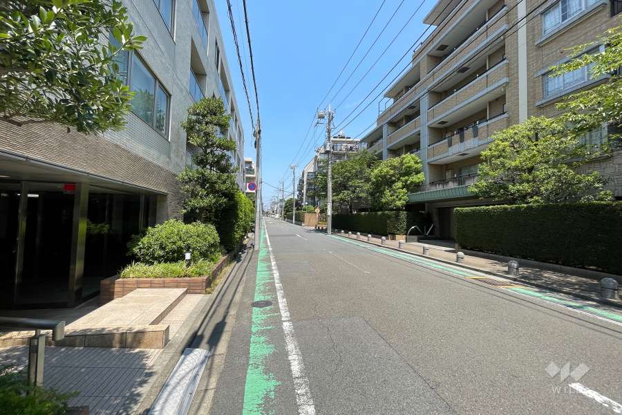 敷地の西側前面道路（南側から）