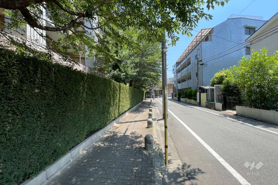 敷地の南側前面道路（西側から）