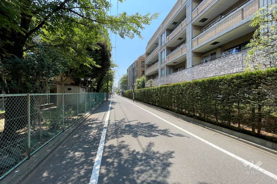 敷地の東側前面道路（北側から）