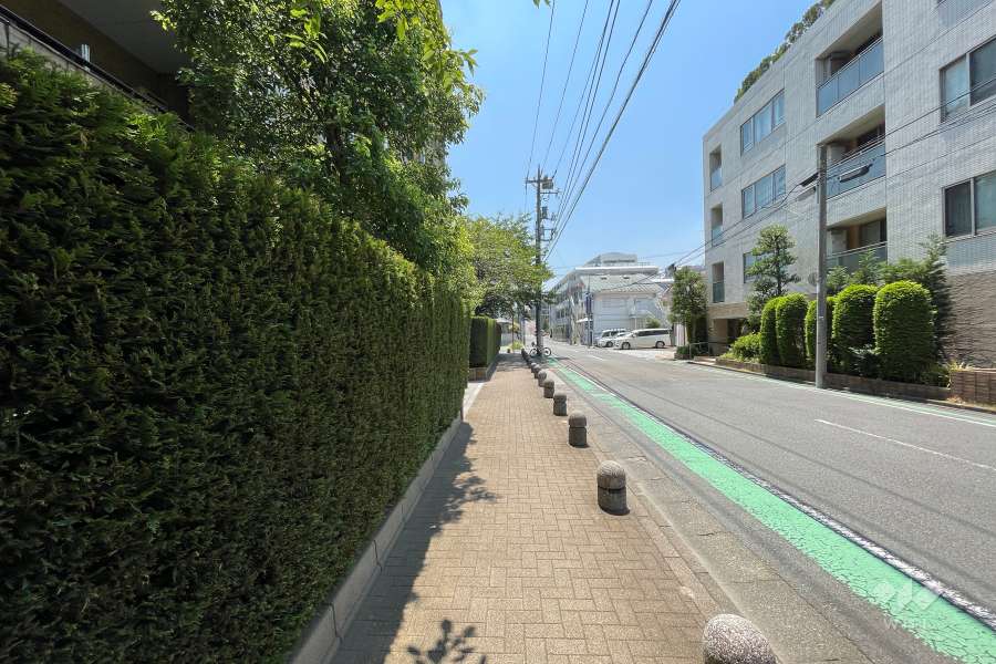 敷地の西側前面道路（北側から）