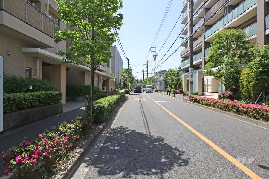 敷地北側の前面道路（東側から）