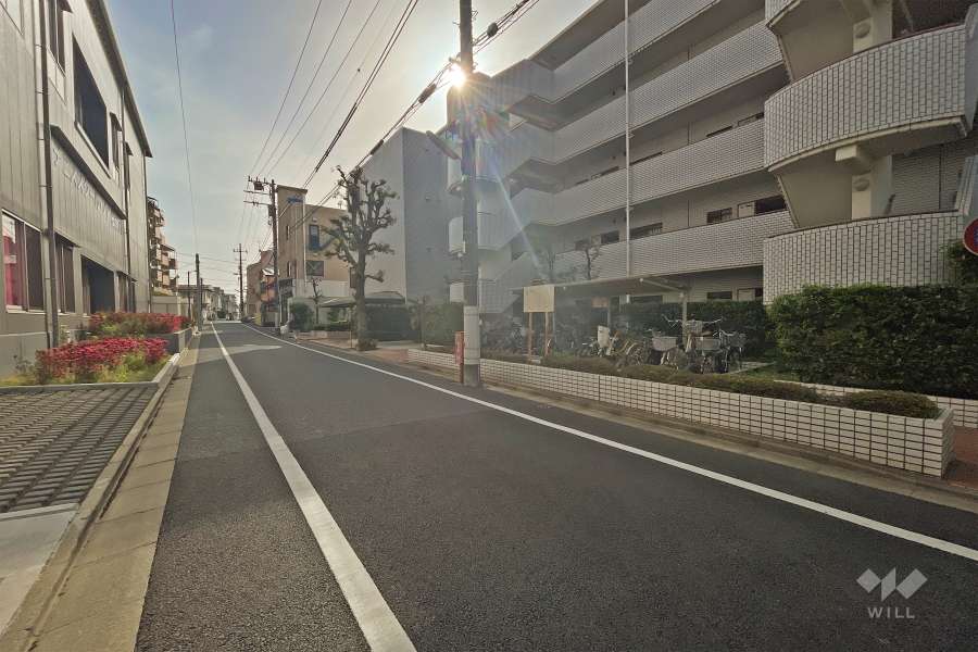 敷地北西側の前面道路（南西側から）