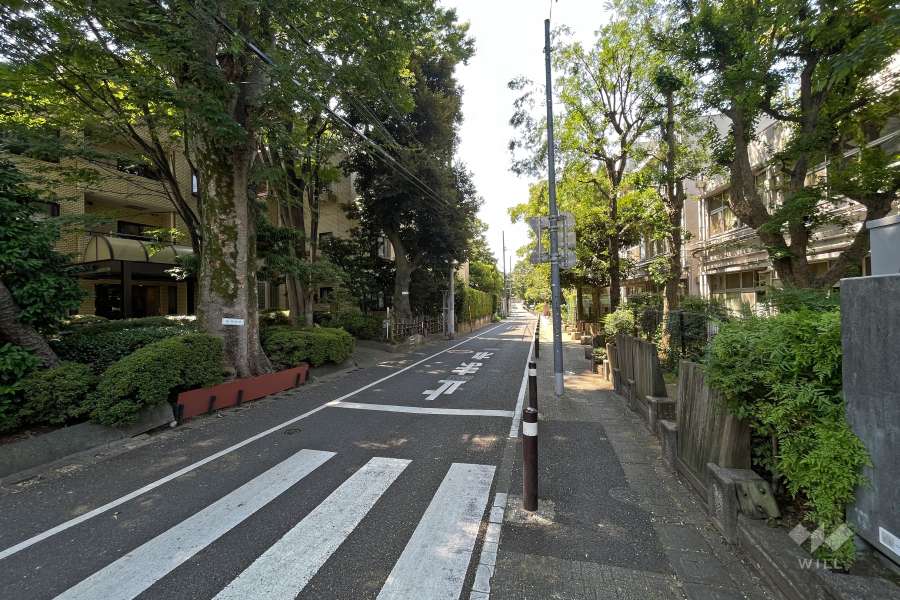 敷地西側の前面道路（北側から）