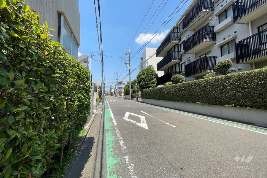 敷地西側の前面道路（南側から）