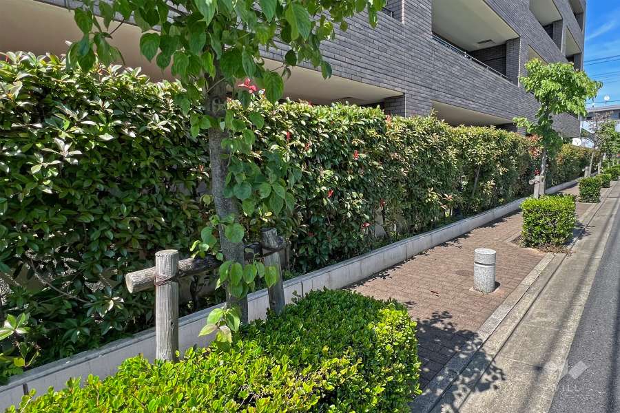 敷地の各所に植栽スペースが設けられています。