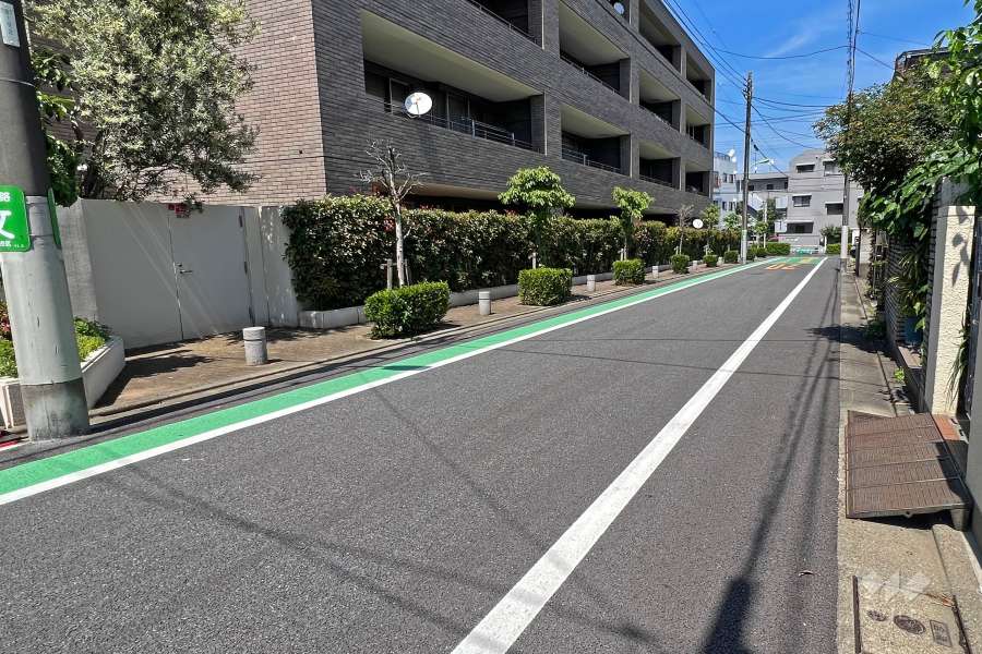 敷地の南側前面道路(南西側から)