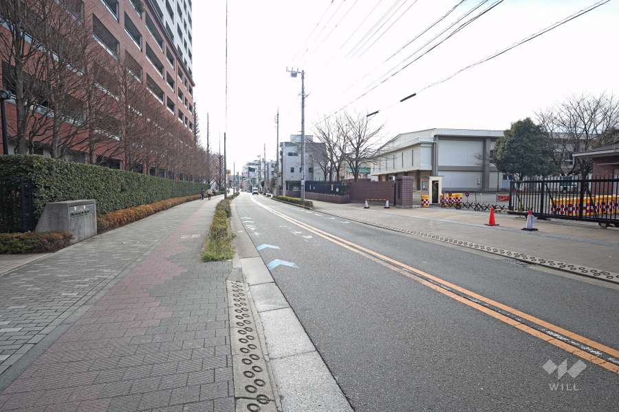 敷地西側の前面道路（南側から）