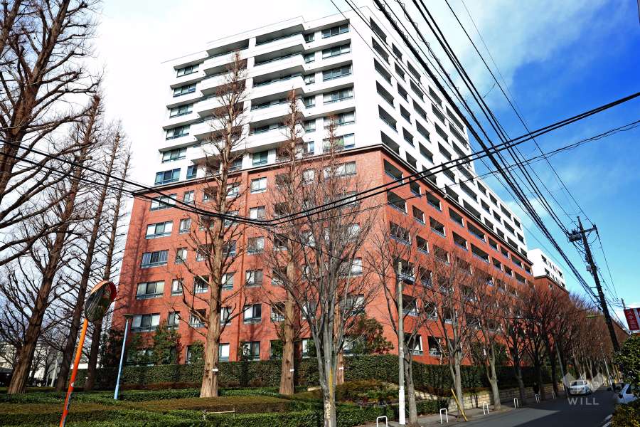 ラコルダ弦巻フォレストコートの外観（南側から）