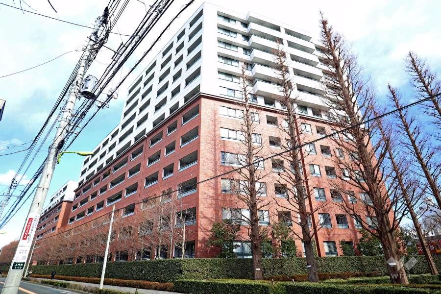 ラコルダ弦巻フォレストコートの外観（南西側から）