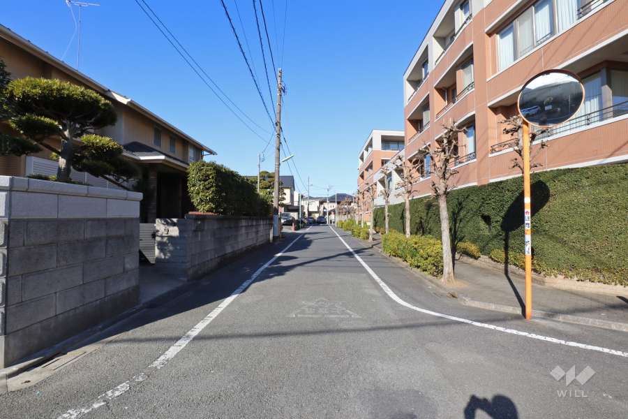 敷地西側の前面道路（南側から）