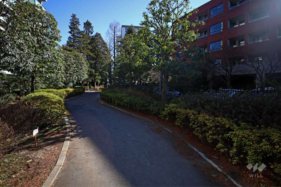 敷地内の遊歩道