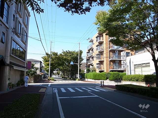 敷地南側の前面道路。歩道付きの街路樹がきれいな通りです。