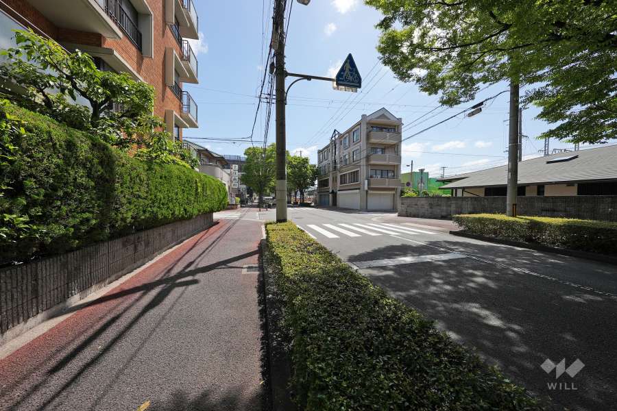 敷地南東側の前面道路（西側から）
