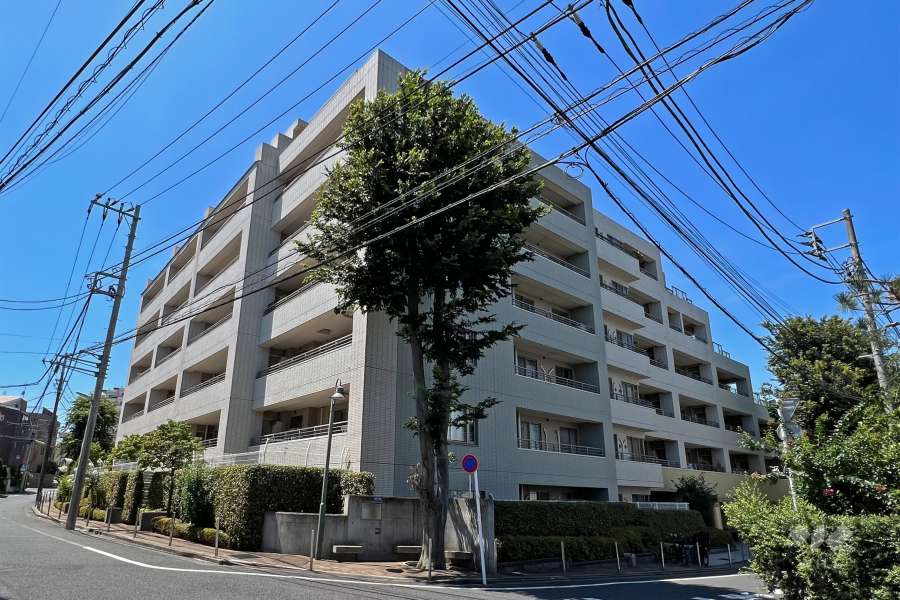 弦巻ヒルズの外観（南東側から）