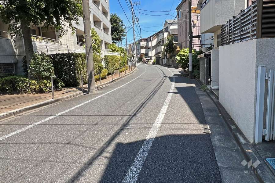敷地南側の前面道路（西側から）