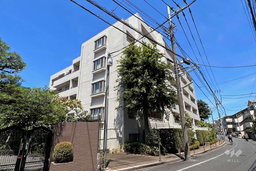 弦巻ヒルズの外観（南西側から）