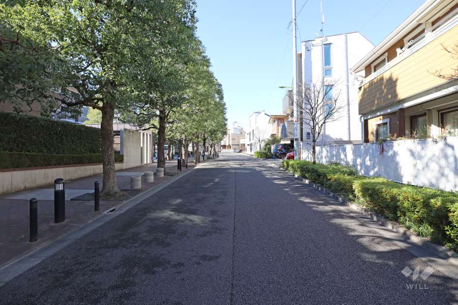 敷地北側の前面道路（東側から）