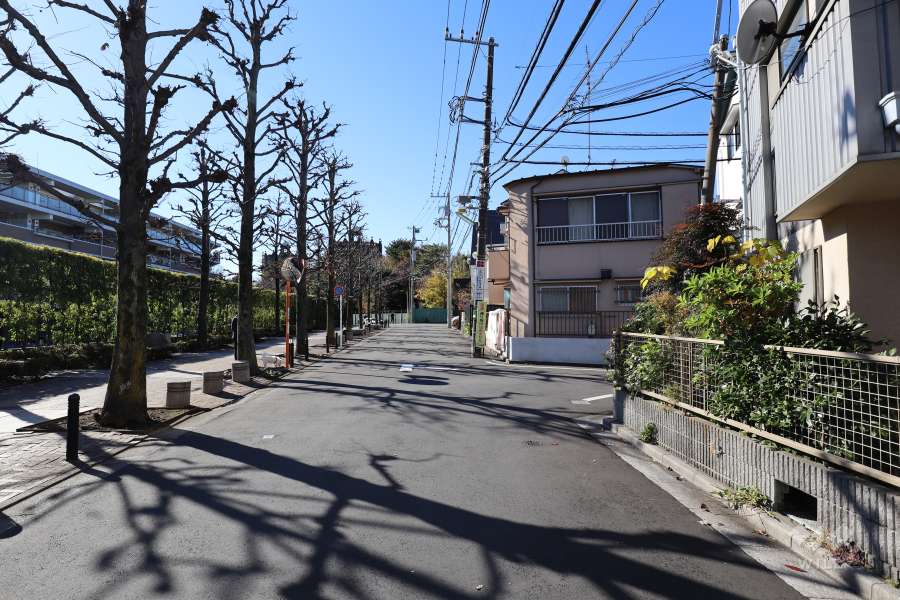 敷地北西側の前面道路（北東側から)