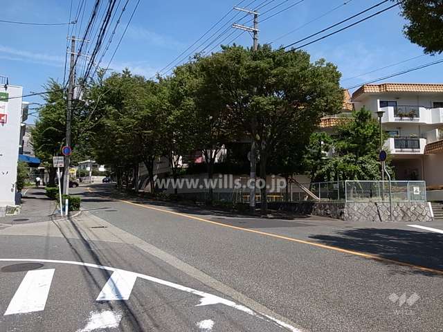 敷地西側の前面道路。街路樹がきれいな二車線のバス通りです。