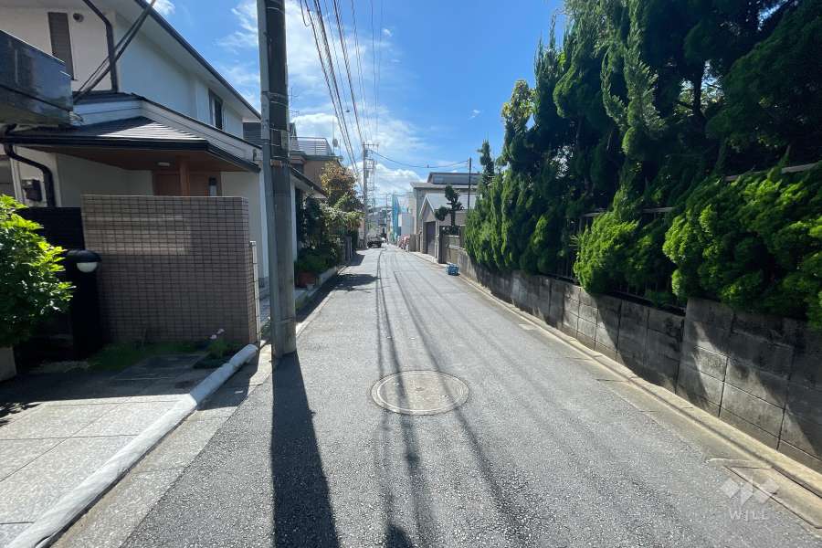 敷地西側の前面道路（北側から）