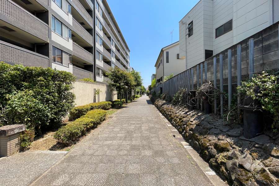 敷地南側の前面道路（西側から）