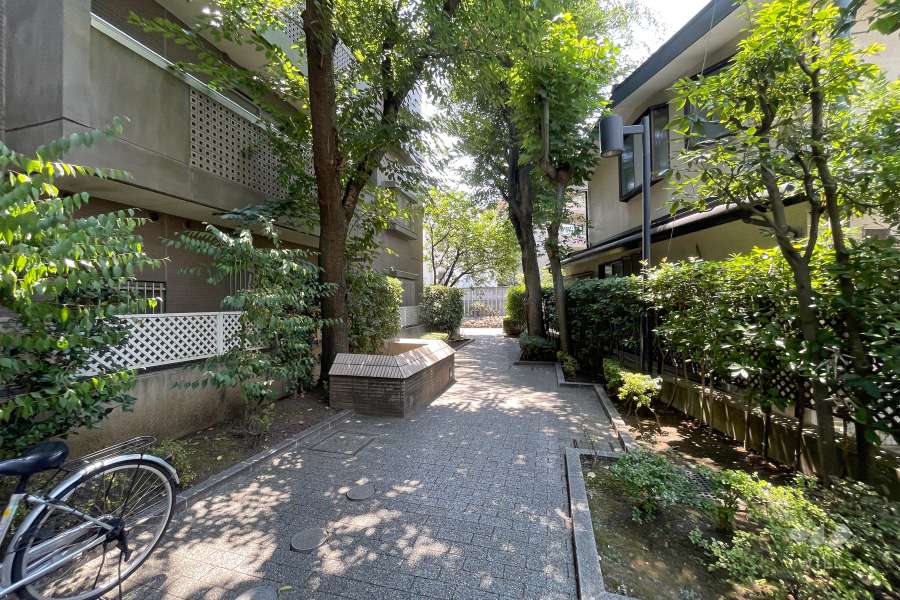 敷地西側の前面道路（北側から）