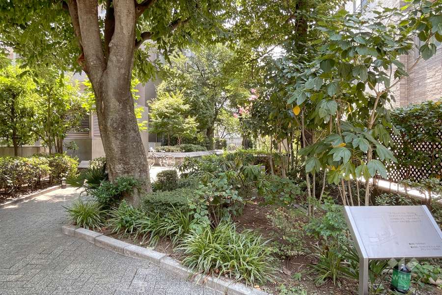 敷地に隣接する『世田谷区立弦巻三丁目ゆずりは公園』