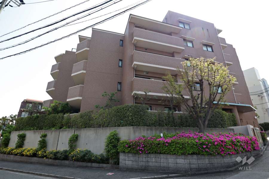 東急ドエル・アルス芦屋エスタシアの外観（北東側から）