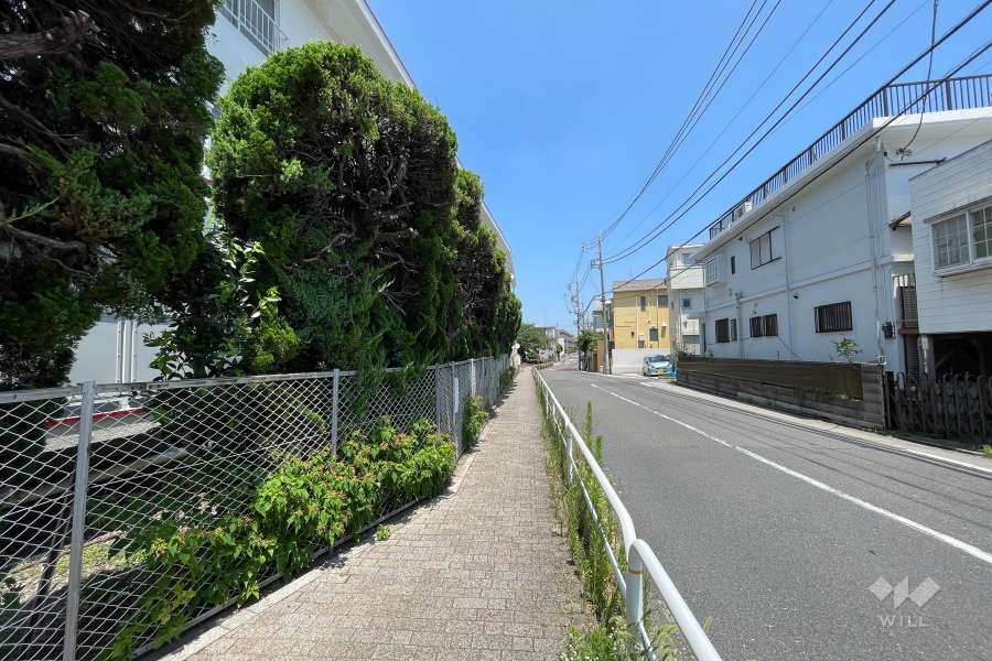 敷地南側の前面道路