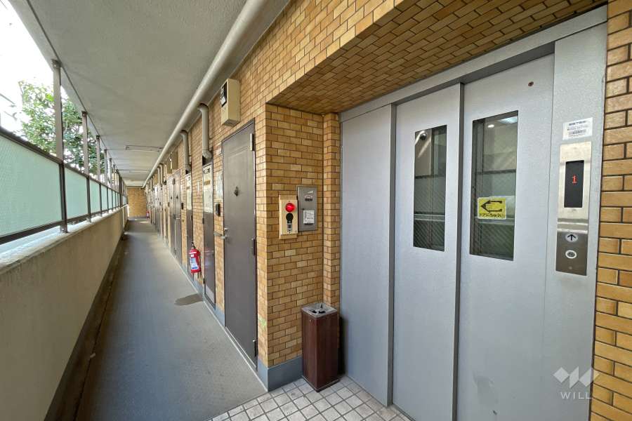 共用廊下とエレベーター