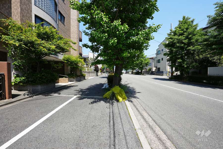敷地西側の前面道路（南側から）
