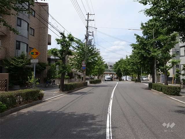 敷地西側の前面道路は並木のきれいな通りです。