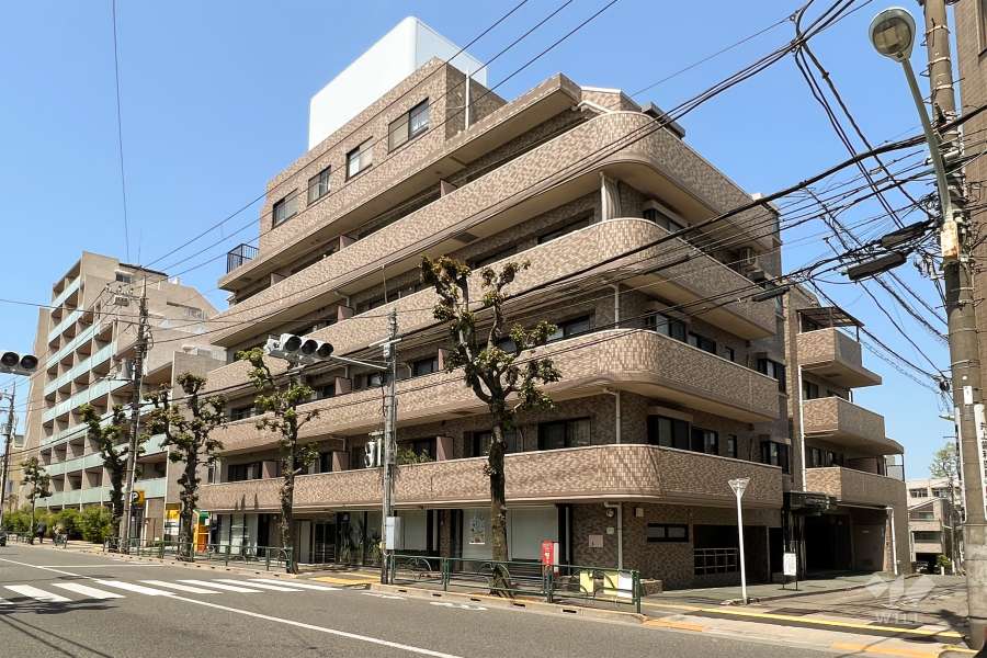 ライオンズマンション世田谷馬事公苑の外観（南東側から）