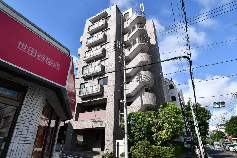 ハウス世田谷桜の外観（北東側から）