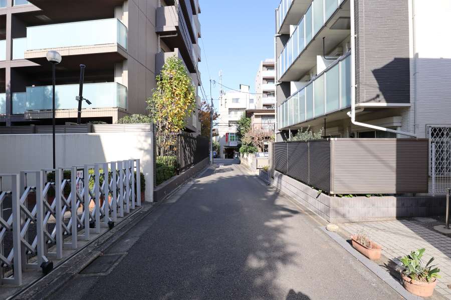 敷地東側の前面道路（南側から）