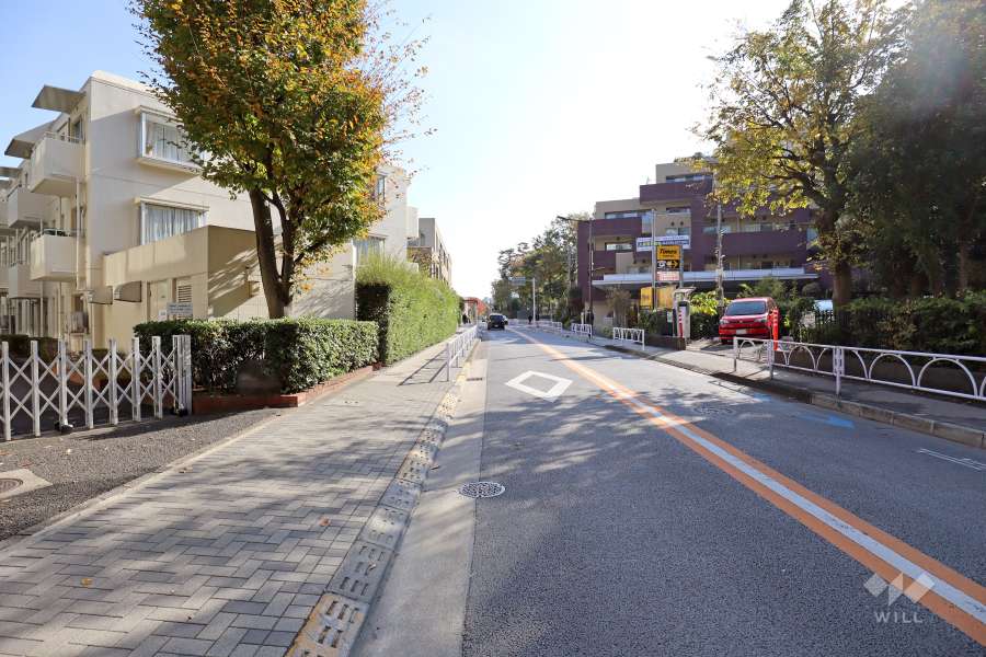 敷地西側の前面道路（北側から）