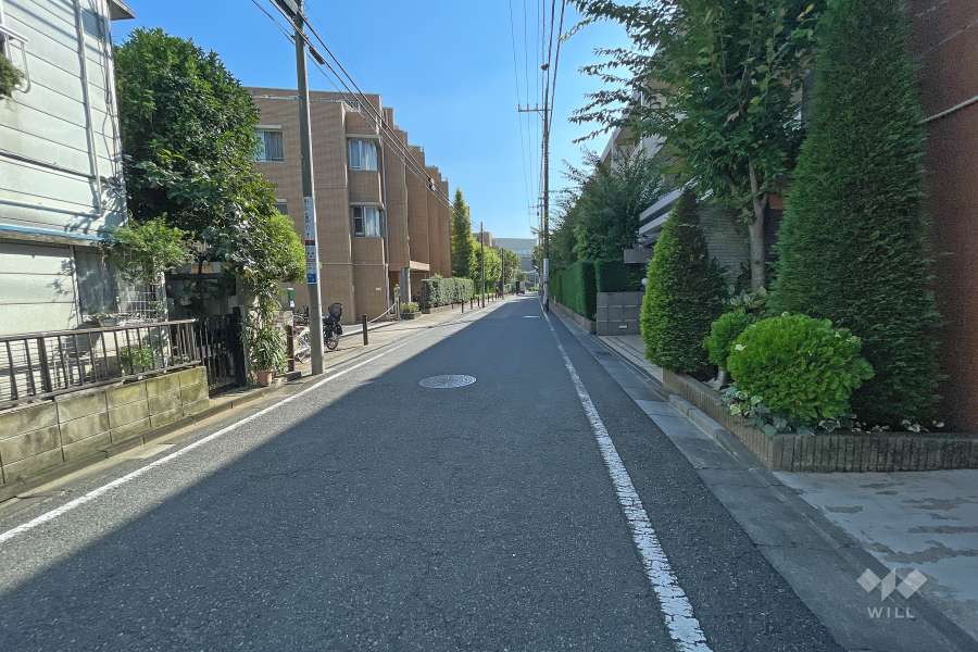 敷地南東側の前面道路（北東側から）