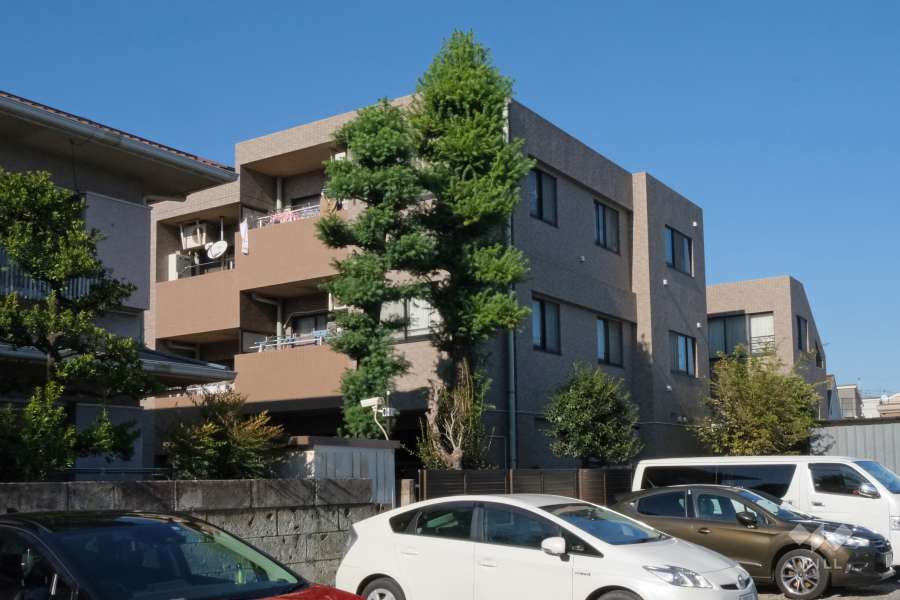 エクセルシオール馬事公苑の外観（南側から）