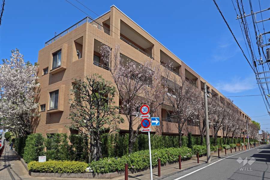 マスターズガーデン世田谷桜の外観（南西側から）