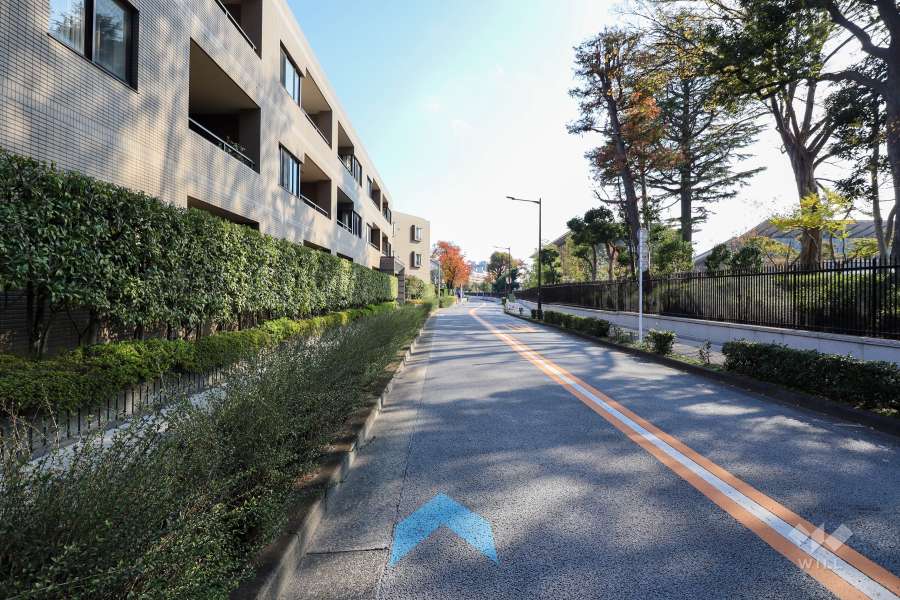 敷地西側の前面道路