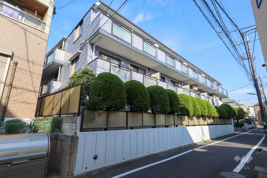 セザール世田谷桜丘の外観(南西側から)