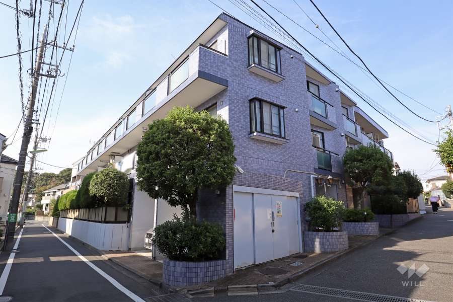 セザール世田谷桜丘の外観(南東側から)