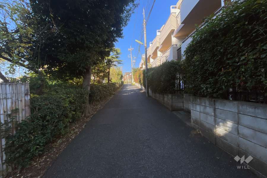 敷地の西側前面道路（南側から）