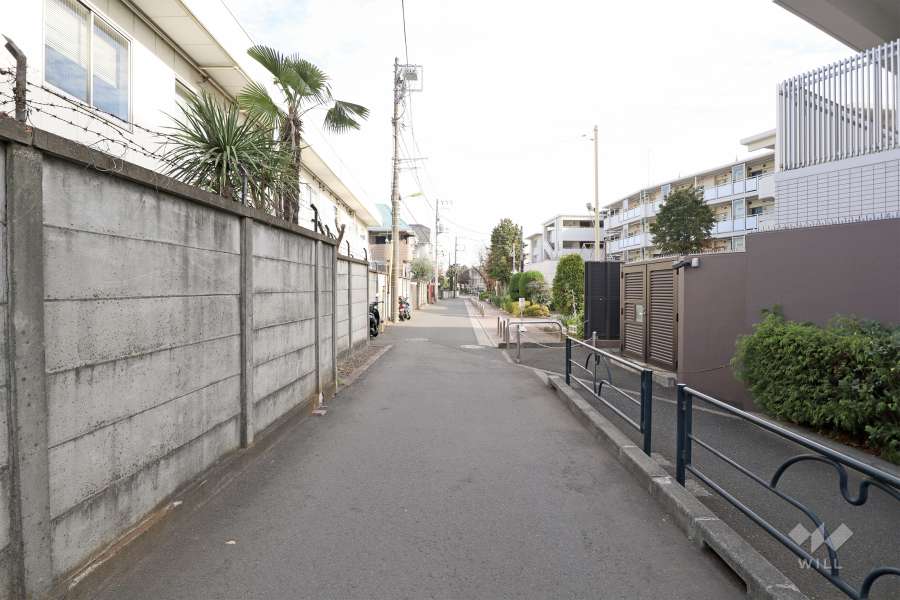 敷地北側の前面道路（西側から）