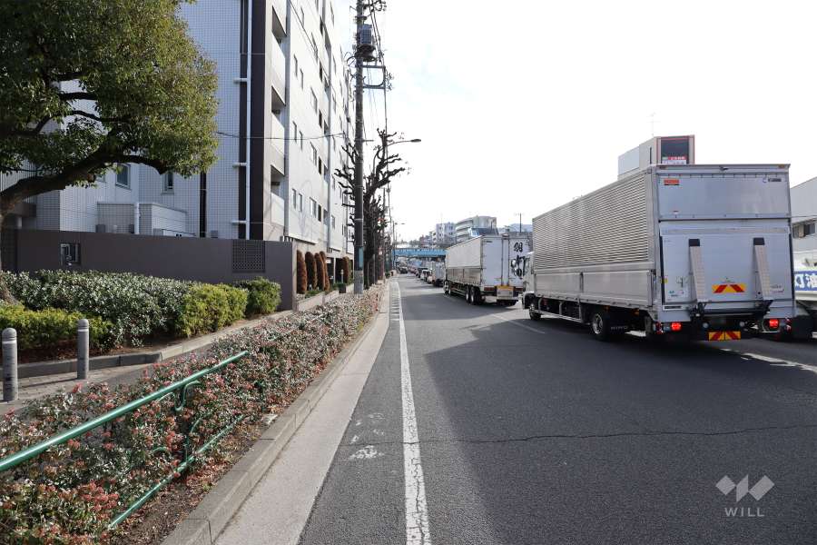 敷地西側の前面道路（北側から）