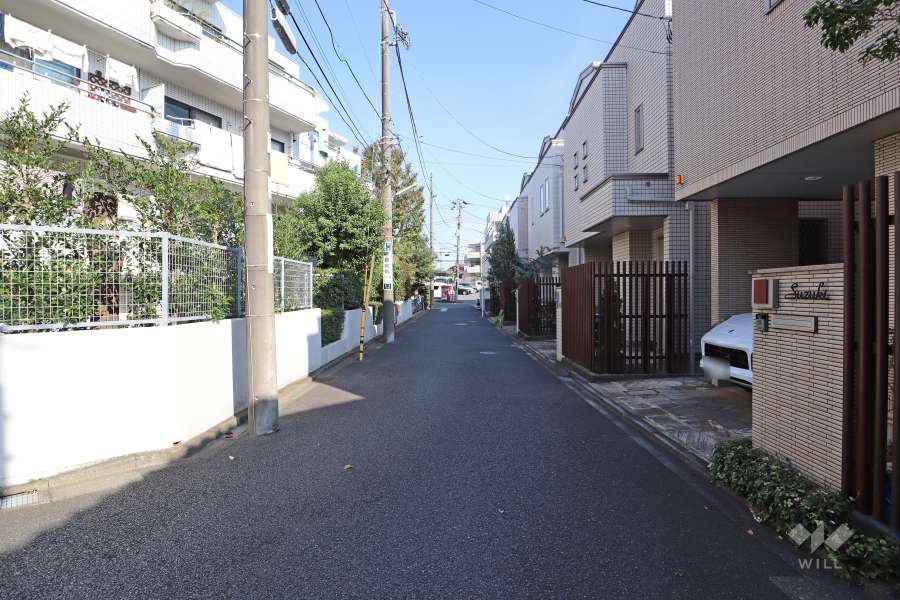 敷地南側の前面道路（西側から）